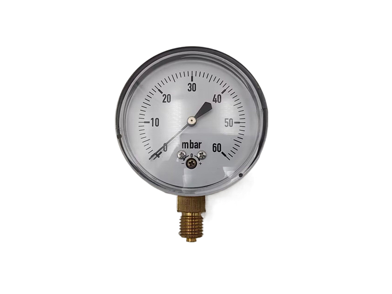 PG-04A Capsule Pressure gauge