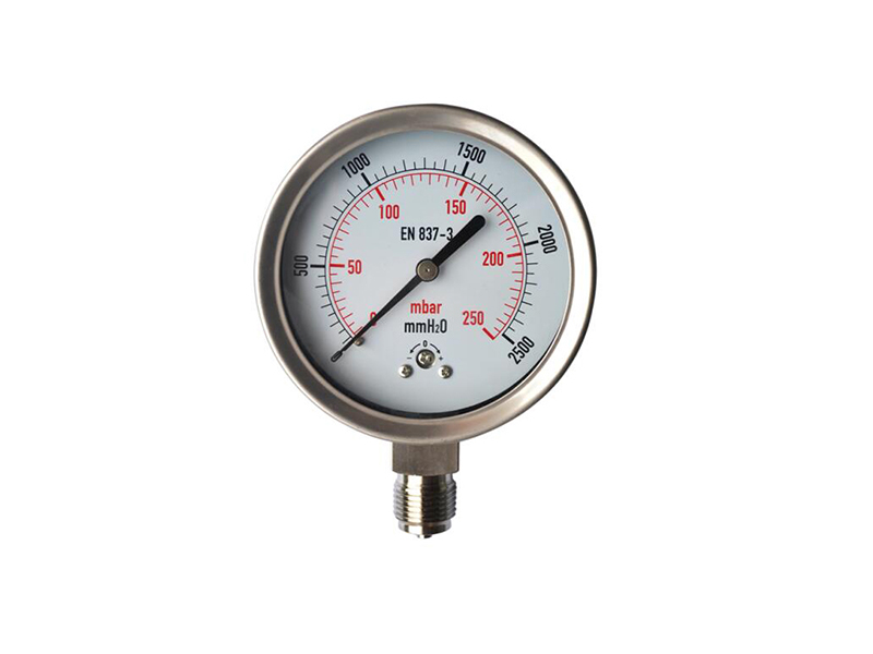 PG-04C Capsule Pressure gauge