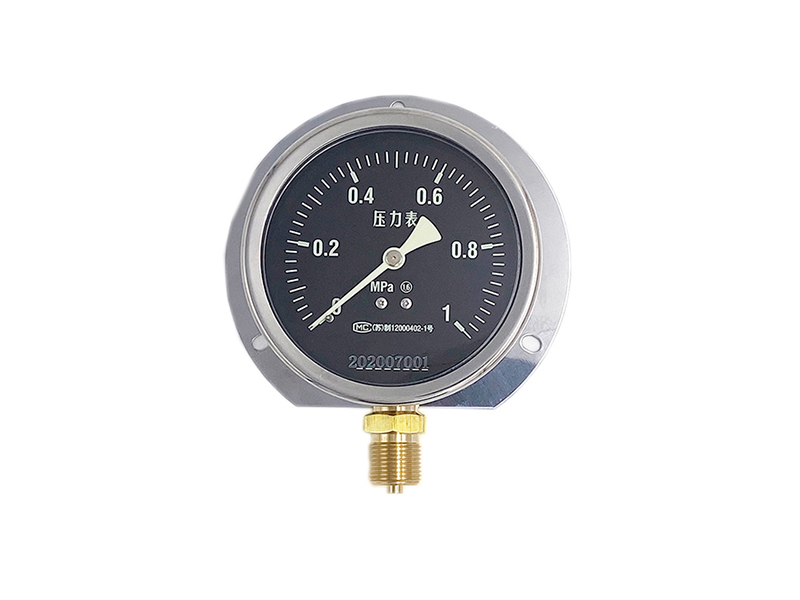 Marine luminous pressure gauge